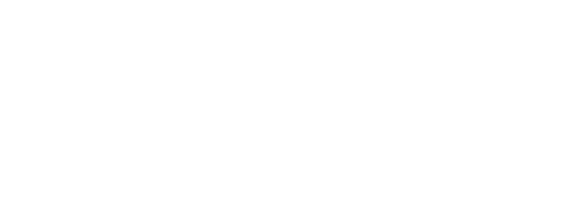 big_vision_0